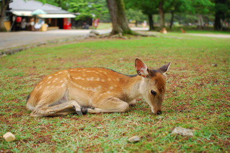 ŗyĻza·CoĿĵĴСlFһӵĹŶL