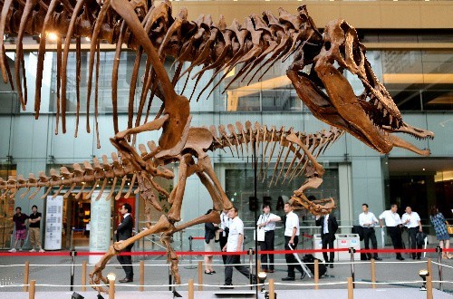 ձh^81^ص9߿ʯږ|ǧ^B֮OAZOչ(YψD)