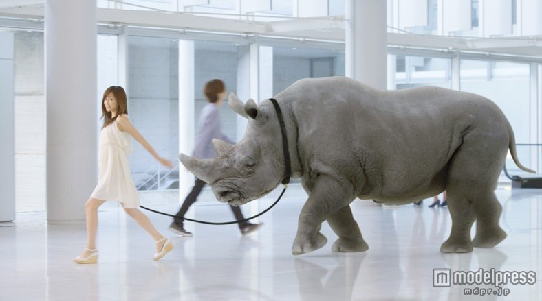 ǰcϬţͬ ۏV˥ˡ͹Ą