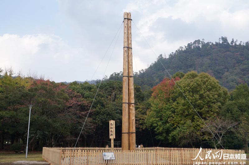 cףwmجF˹ŴÁ֧ľ޴ɼľ