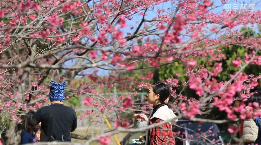 _Kuɽʢ_ęѻ  DƬԴWվW퓽؈D