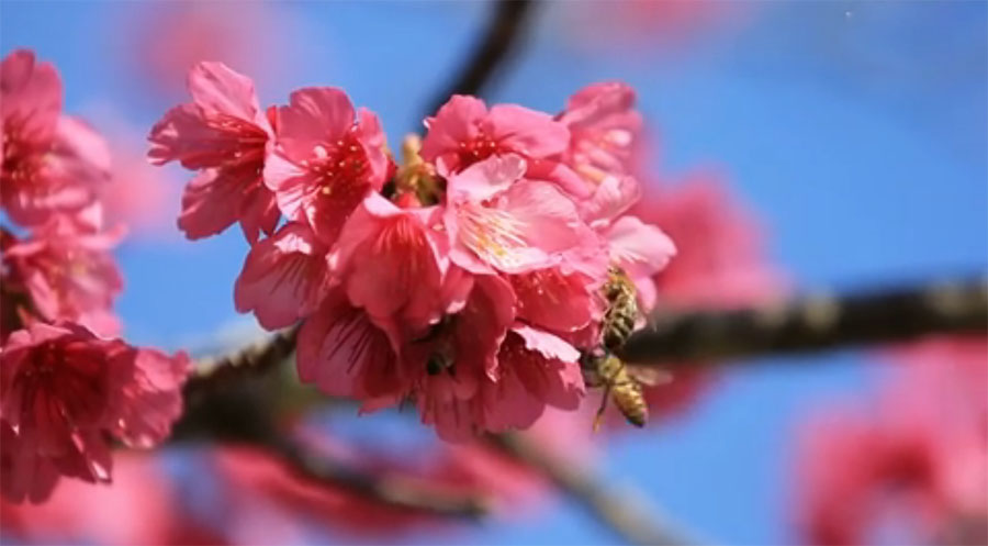 _Kuɽʢ_ęѻ  DƬԴWվW퓽؈D