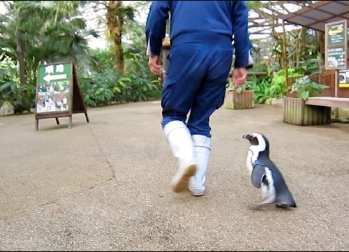 ҪȥăСѡƺBTĲ