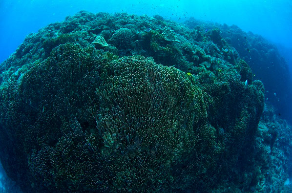 _KŬѶȼٴ屾µ_źˮԡ ձχL4