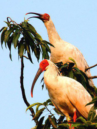 ձϿյĄ`҂ˏձʧĄȺּٴΆ˂ȻľηͭhRhRh]^rһ