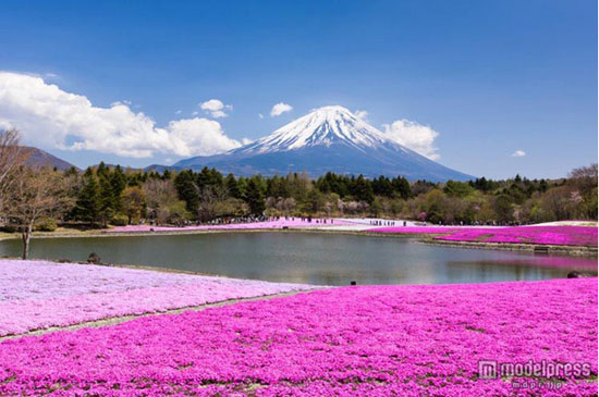 ѻcYɽhʿ΄ٵ ǰrchʿɽxӳ