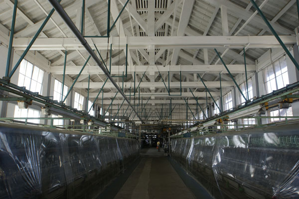 zSȾȺRhϺṩ