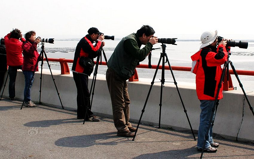 ͨόfCĹܾh]еzӰˮƽ2011327K|zӰ҂ڸ̫ꖍuĔzL