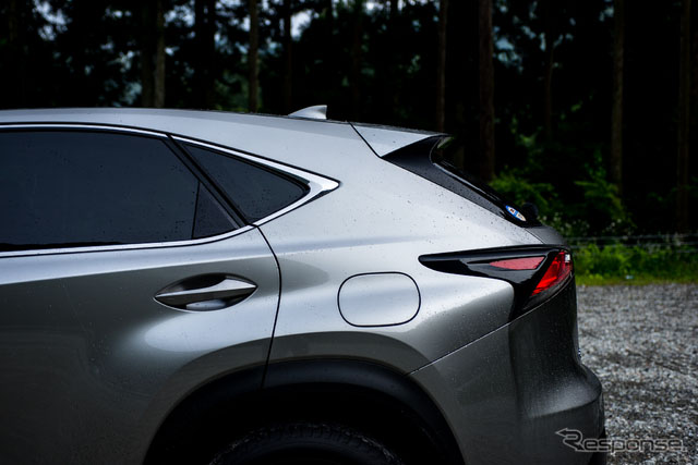 ׿_˹NX 300h version L