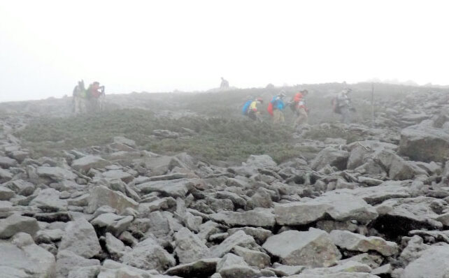 ɽƣĵɽˆTԴԡWվ