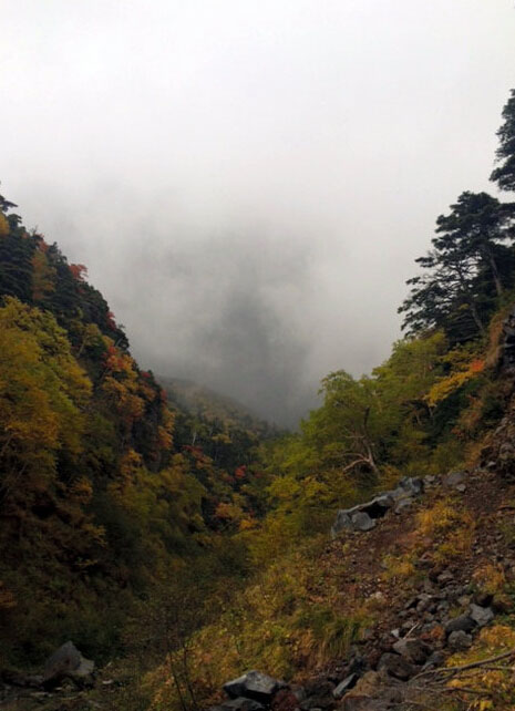 ᪸hһȲ׽ćl龰ԴԡWվ