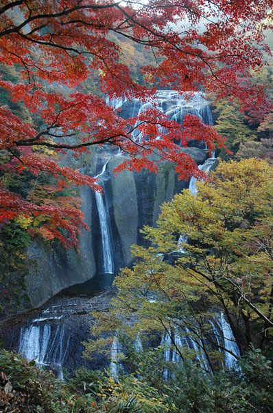 ĳǿhٲDƬɴĳǿhϺṩ