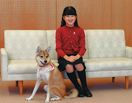 201111ӹcȮYψD