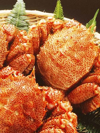 ʳصʳĺˮ^ձطƫLĶڿԵõBͻ֏@Щl˱ζĪc؄e