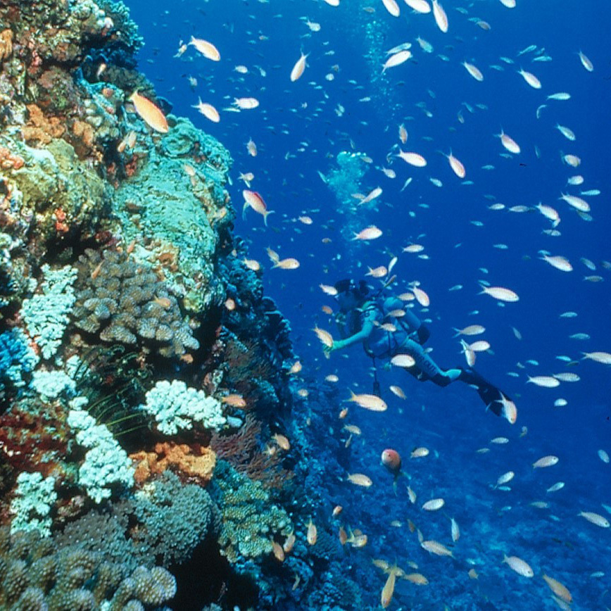 ĮС̕rgظðĽvλ؏healthĪ״ʳͽǰlҰlFLǝˮv@NPڽBóԵʳ؏ʲıðoՓҲĳڛ_KBT_T 