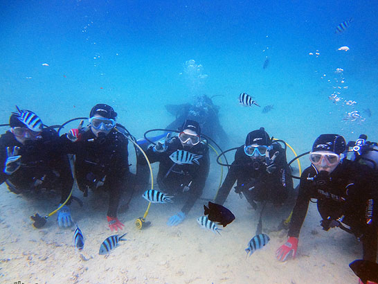 _KΡˮcGorilla ChopˮL⣨YψD