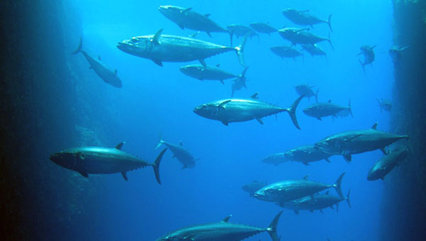 ձˮcСԭTuˮĺ磨YψD