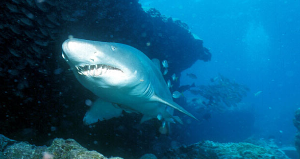 ձˮcСԭTuˮĺ磨YψD