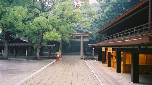 mձҪλڝȅ^ԭһĴľ@ռ70ǖ|ĳʾһKGÿ궼кܶˁ˅eг˶YYȃxʽSԸձĻѮш@ʢ_Nmһ