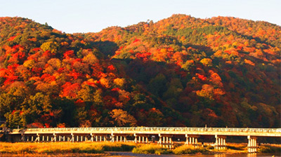 eMھɽĴߴȫL155fǿպĵӵ  ձƽrڵ836꣨ձк꣩޴ߴr҂Ķ1934ꌢAˮ˱FzaLòڗUԭȻʹľȾһrGtɫĶ덹ɽLɞľɫSÿL