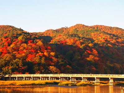 eMھɽĴߴȫL155fǿպĵӵ  ձƽrڵ836꣨ձк꣩޴ߴr҂Ķ1934ꌢAˮ˱FzaLòڗUԭȻʹľȾһrGtɫĶ덹ɽLɞľɫSÿL