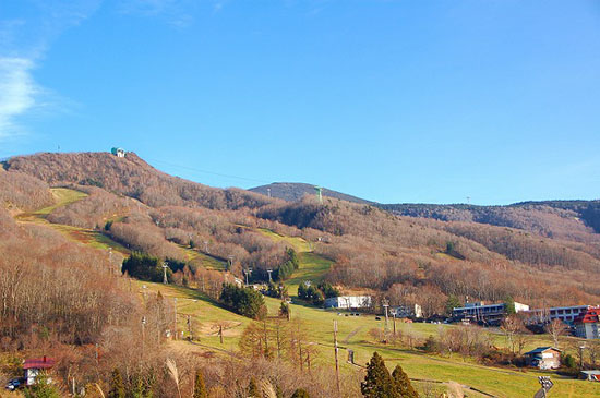 ȴѩĲȪѩz11³ԴԲȪѩپW