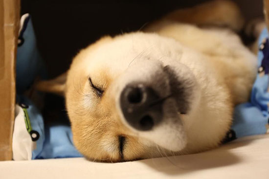 ؓ؟ձؿhƏVġδʹMARUС