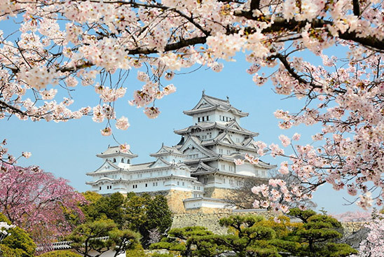 關西既有大阪這樣的購物美食天堂，又有京都、奈良悠久的文化旅游資源，向來就不缺游客足跡的。但如果選擇了匆匆過客，那會失去了旅游的真意，建議最好還是駐扎一地慢慢欣賞，去觸摸風景背后的深意。就比如去日本賞櫻花，避免走馬觀花般的草草了事，推薦透過美景多了解櫻花背后的日本文化，加深旅游的文化含量。