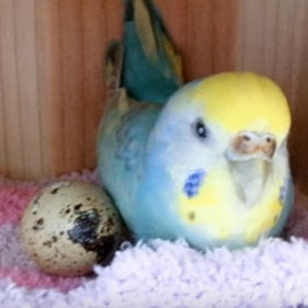 һձWSCڳُIһögoеW^@ֻW^ķһֻɐ۵Сgͨ˂ڳIuδ^Ҷ౻ڱʹÌTķҲyСu