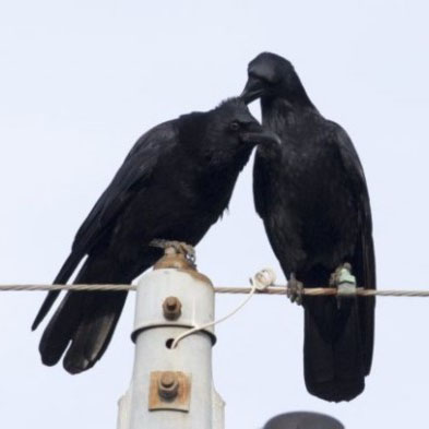 ձһWѽհlһMƬCһf֮gҲ໥׽Ūһֻfһֻf^픵ëÁy߰wʣµֻf^픃ȻuCһ