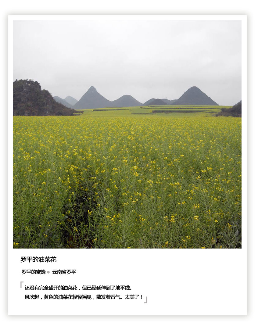 RЇձЇzӰِ Ʒp---8