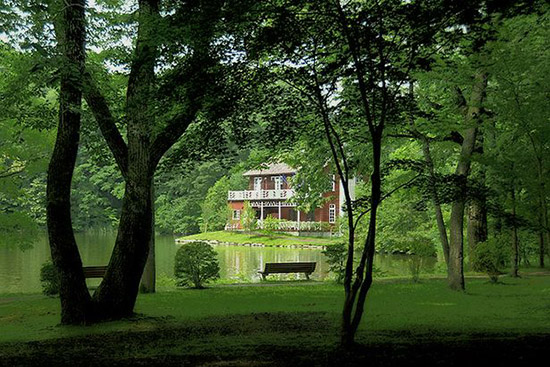 ձоcLҰhİٲڵpɣYψD