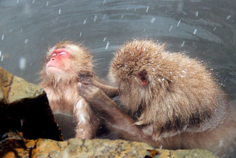 ЇοR^µձf󣺴M̫ƽpߔ̗~ѩМȪ@҂һˮձ@һļиɫʳh@լƷĿϾS̎ҊĽ퍪qϵДMLM@......