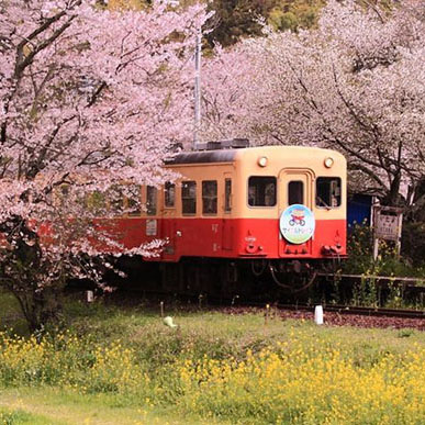 λǧ~hȵСFԽǧ~huϵĵط˽IF·˴ڙѻLcͲ˻g܇һɫSӑBʮ@L