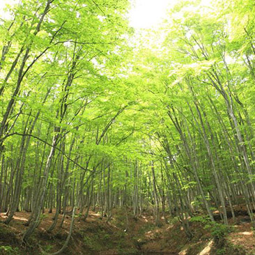 ͤͤġ֡䌍ǳųеɽëΘڴ۾GľɷǺÿö֮ː۷Q顰֡ 