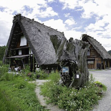 ״lƴ壺ձв᪸hһС鱣˹ŴҽձДĺѩ؎ԹҾúéw 