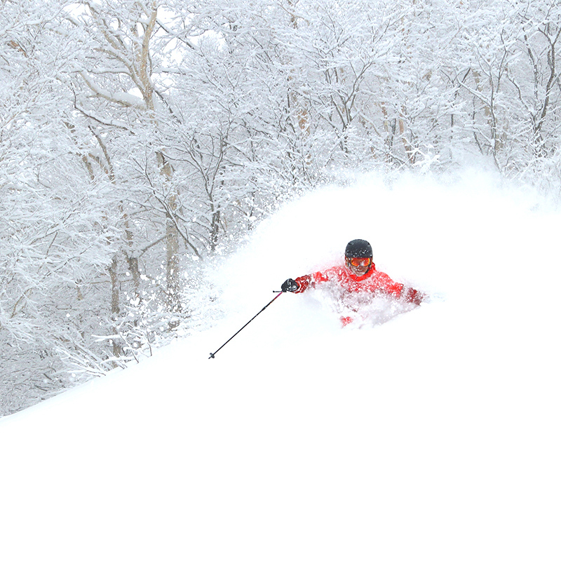 ȸԭѩ팦ѩѵĸֶĽ_ʼʹ҇ο܉w򞵽ĘȤȸԭѩƳ˶ӵxʽĿ׌Сһһ