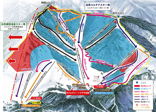 ձѩLҰѩRCortinaѩYψD