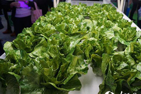 ֲ﹤Sϵy༼gںµĶ헼gùWgֲƼg{ȭhƼgFĜضȲ1.5z϶ԃ ʡ늵ͬrF|hƂygLED⌍F𵽿傀ȼ༼gµ߲Јrֵ