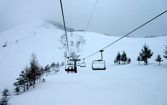 ձѩɭMoyaHillsѩYψD