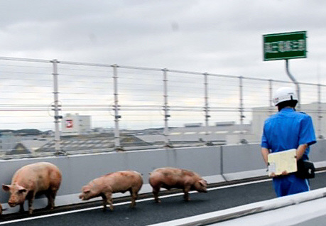 ձһ܇l¹ 19ֻiyٹ·DƬԴWվ