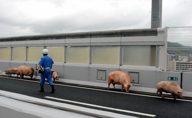 ձһ܇l¹ 19ֻiyٹ·DƬԴWվ