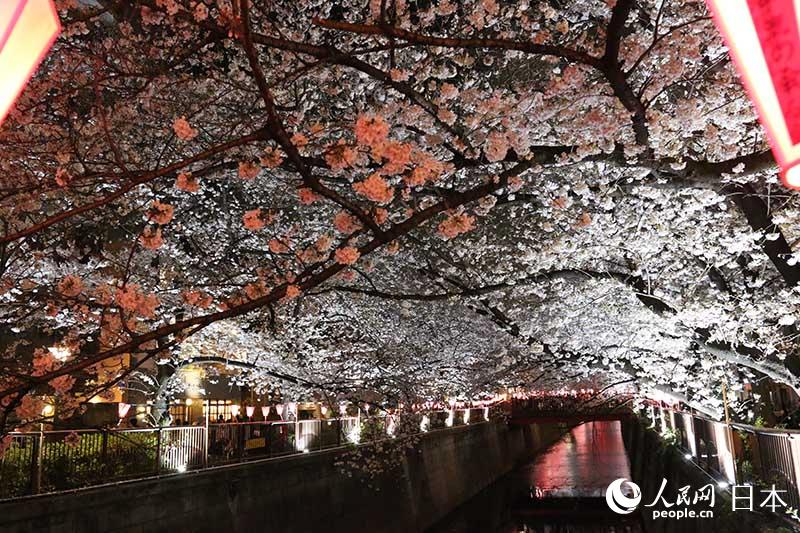 324ږ|ĿڴĔzęѻ