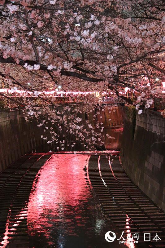 324ږ|ĿڴĔzęѻ