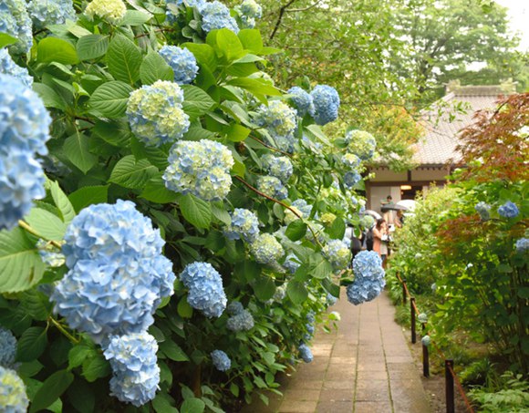 ձM÷꼾 砂}Ժ3000Cʢ_DƬԴWվ