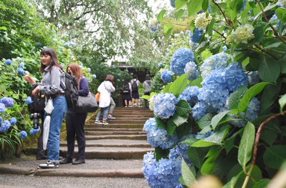 ձM÷꼾 砂}Ժ3000Cʢ_DƬԴWվ