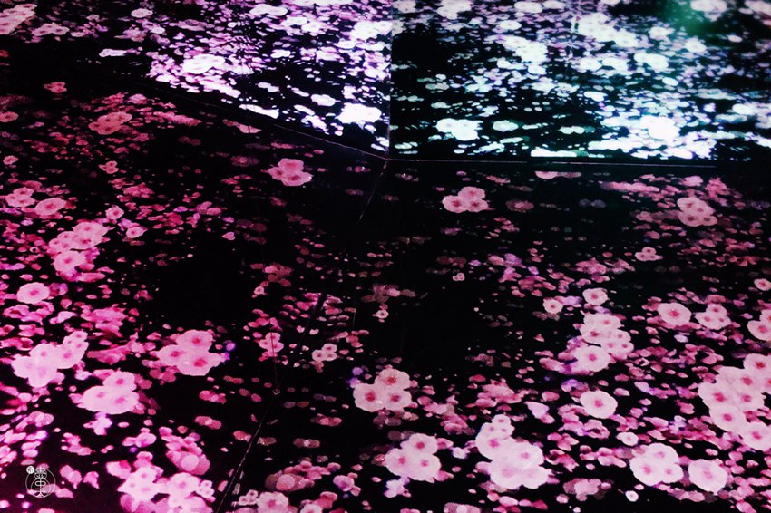 졤Դƪʽˇgչչ[F