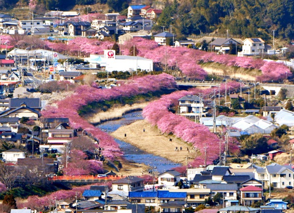 ձoӽӭ^pڣDƬԴWվ