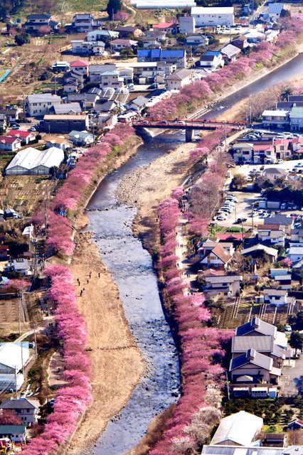 ձoӽӭ^pڣDƬԴWվ