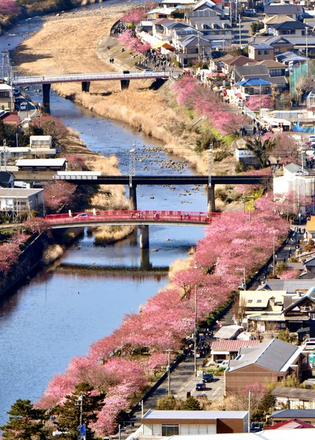 ձoӽӭ^pڣDƬԴWվ